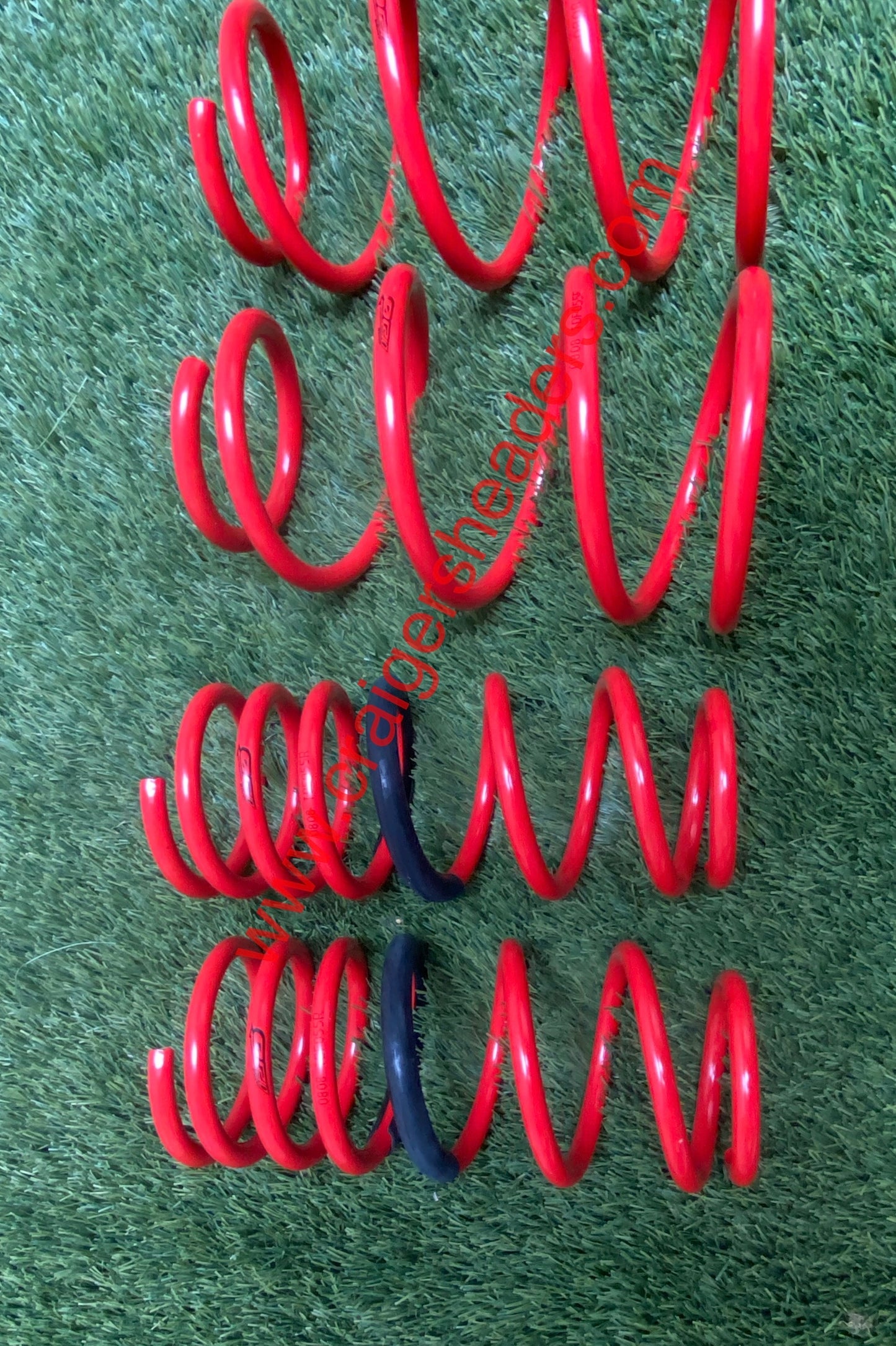 Tanabe TDF055 Lowering Springs 2002-2005 Nissan Sentra SE-R