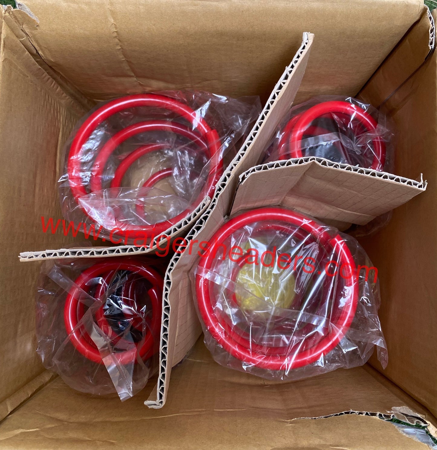 Tanabe TDF055 Lowering Springs 2002-2005 Nissan Sentra SE-R
