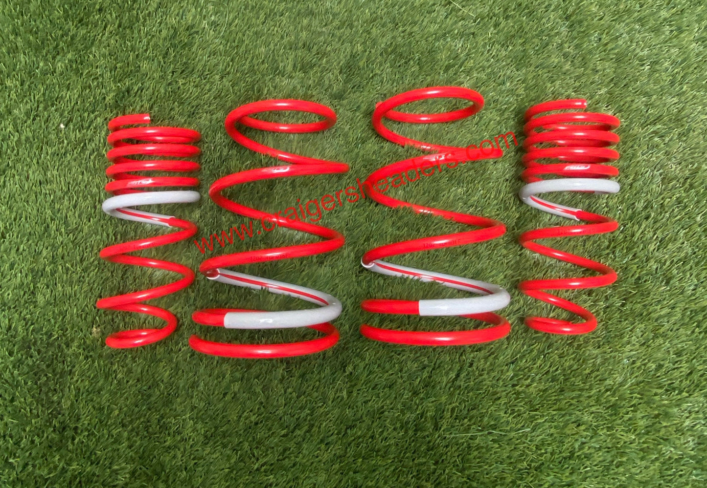 Tanabe DF210 Coil Spring Set, 2000-2005 Toyota Celica TDF036