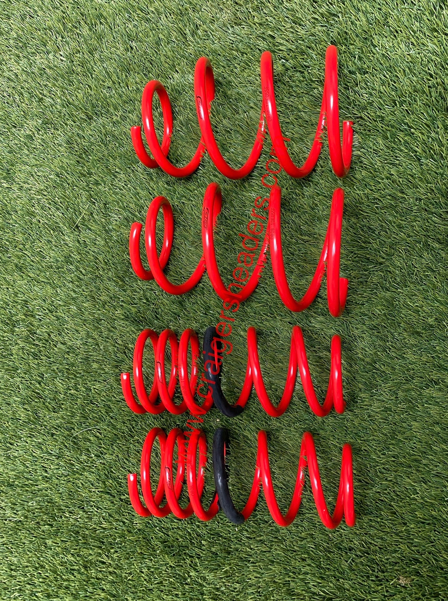 Tanabe TDF055 Lowering Springs 2002-2005 Nissan Sentra SE-R