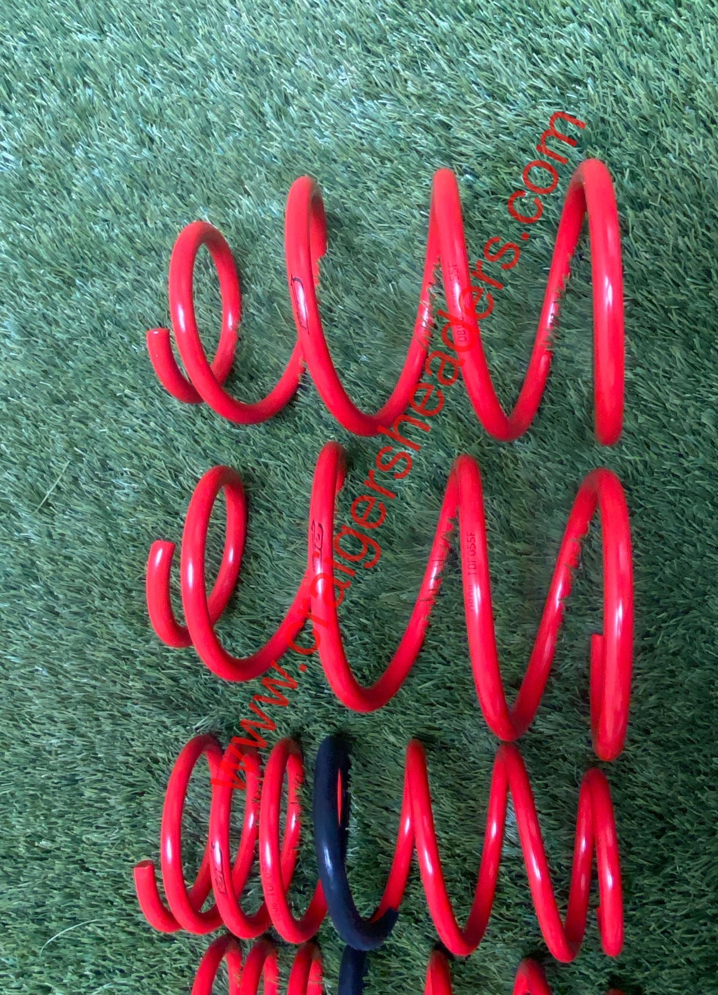 Tanabe TDF055 Lowering Springs 2002-2005 Nissan Sentra SE-R