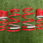 Tanabe DF210 Coil Spring Set, 2000-2005 Toyota Celica TDF036