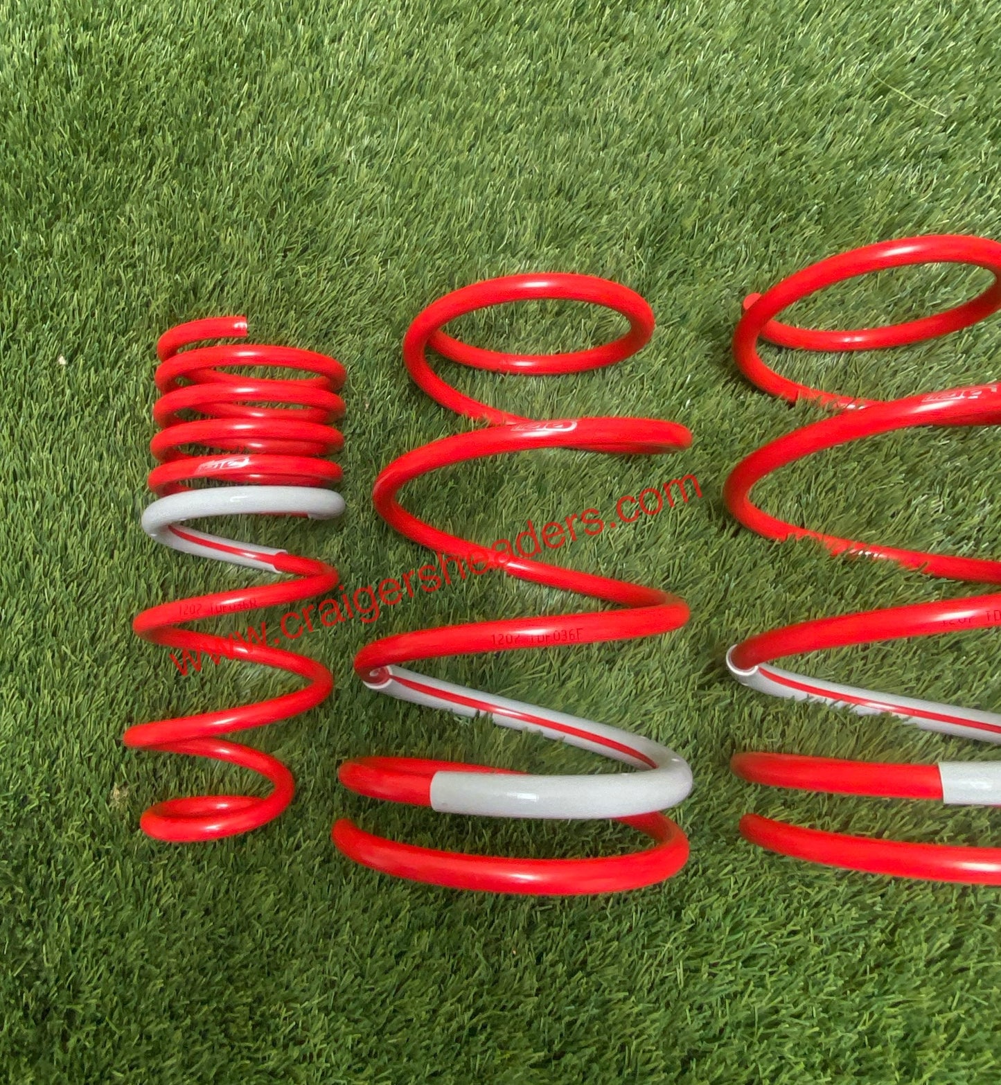 Tanabe DF210 Coil Spring Set, 2000-2005 Toyota Celica TDF036