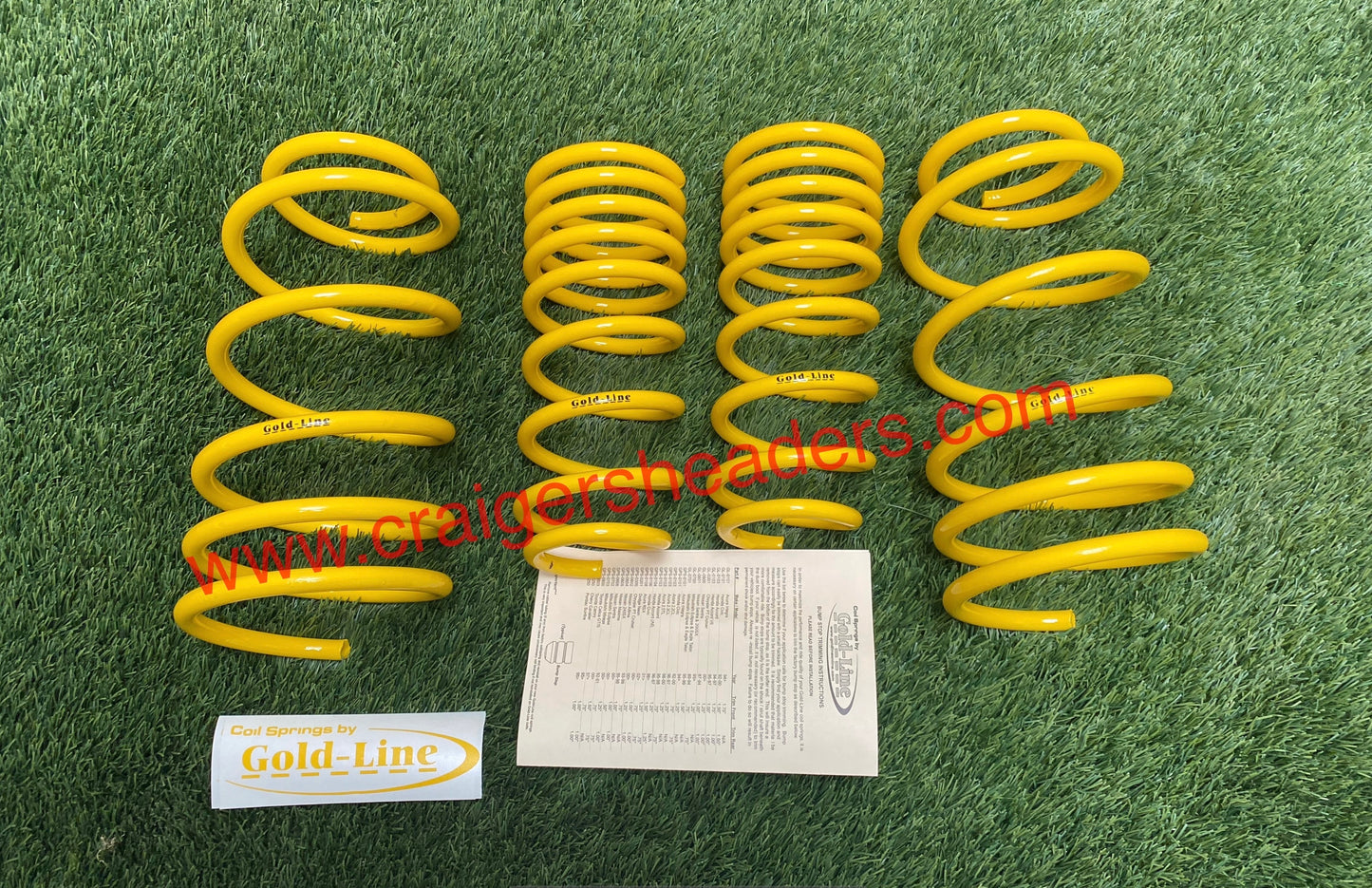 Gold-Line Lowering Springs GPS-0606 Lowering Springs 2000 Nissan Sentra SE-R Spec V